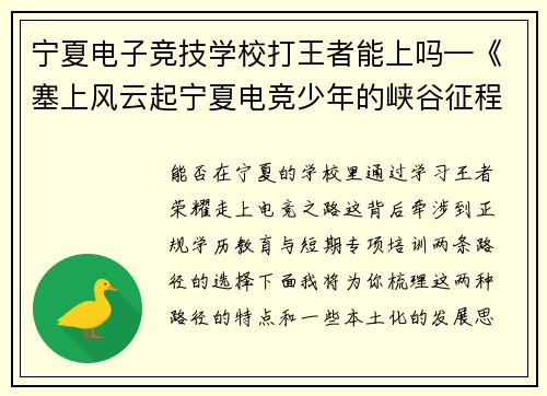 宁夏电子竞技学校打王者能上吗—《塞上风云起宁夏电竞少年的峡谷征程》